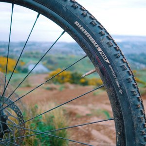 Specialized Tyres Review
