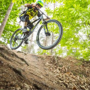 Focus on: Whyte Junior Trail Bikes
