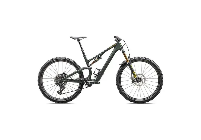 Specialized Stumpjumper 15 Pro Mountain Bike in Green Tint/Gunmetal