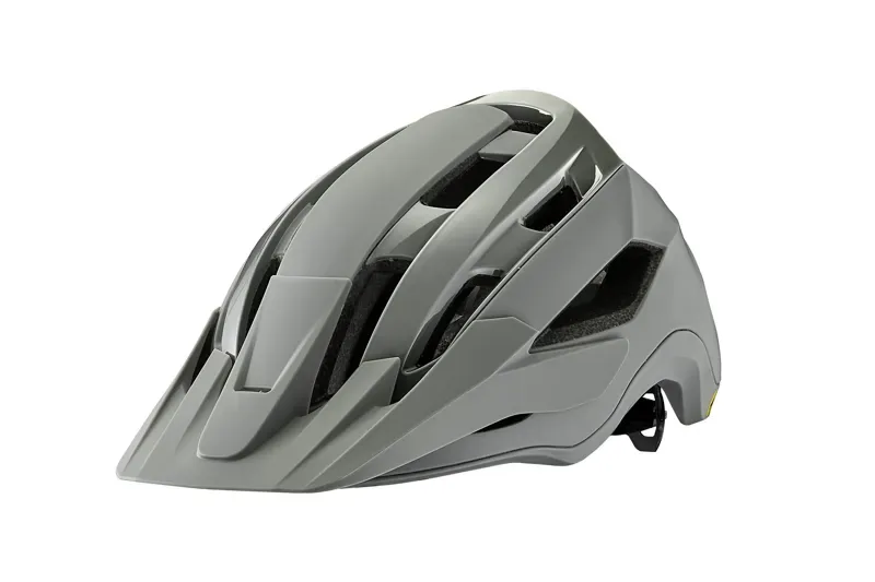 Giant Rail Mips Helmet In Matte Slate