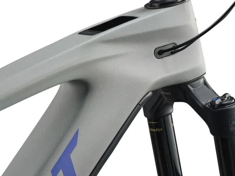 Giant Reign Advanced E+ 2 Electric Mountain Bike in Moon Dust-5