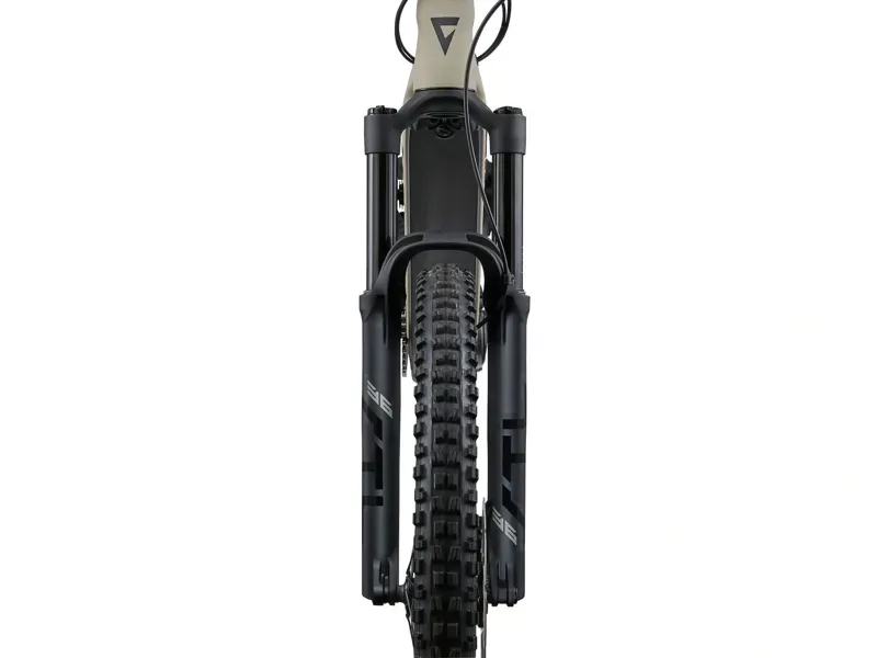 Giant Stance E+ 1 Electric Mountain Bike in Almond/Black-2