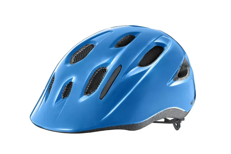 2020 Giant Hoot Arx Youth Helmet in Blue