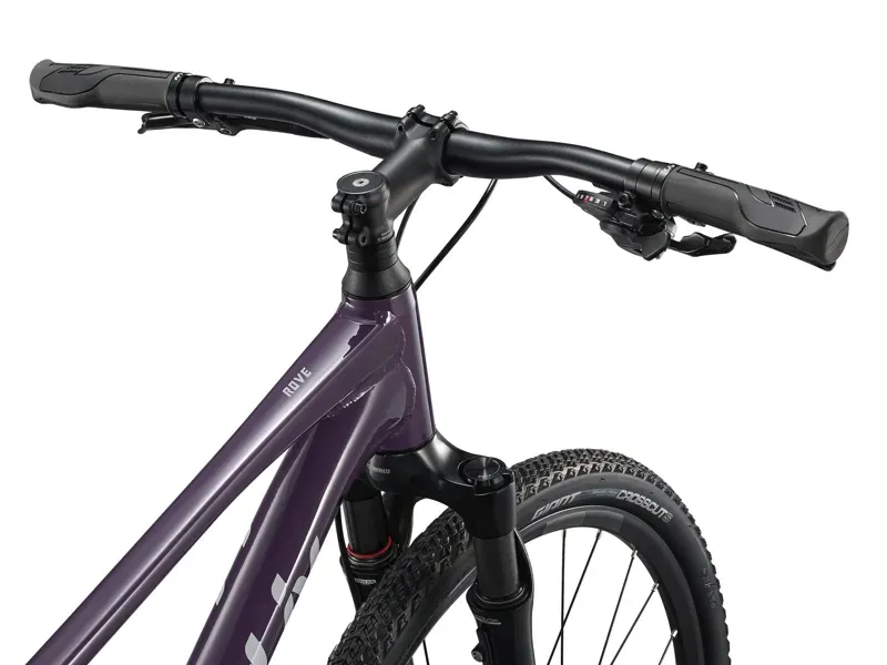 Liv Rove 1 Hybrid Bike in Tyrian Purple-2