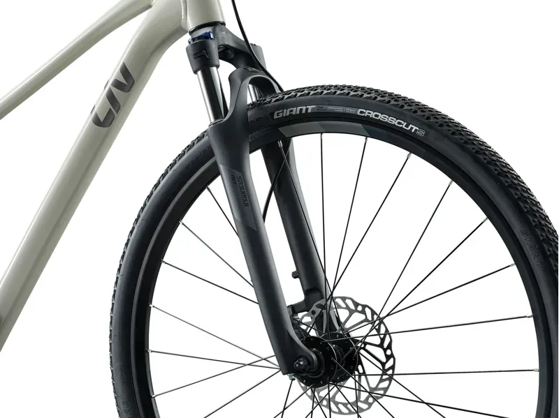 Liv Rove 3 Hybrid Bike in Pulp Gray-3