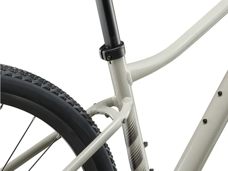 Liv Rove 3 Hybrid Bike in Pulp Gray-4