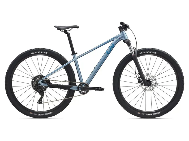 Liv Tempt 2 27.5 Mountain Bike In Frost Silver