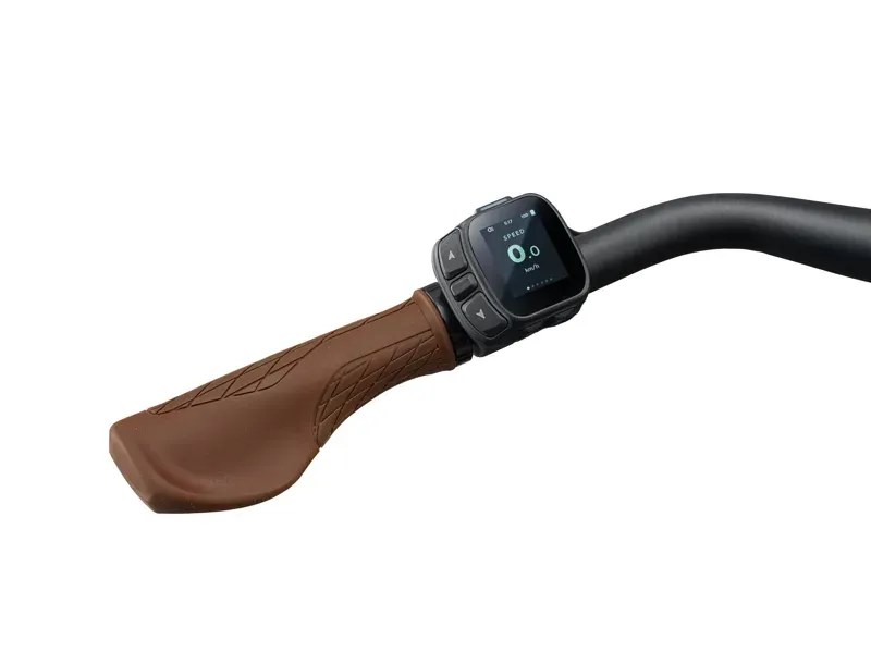 Liv Flourish E+ 2 Electric Hybrid Bike in Mountain Air-7