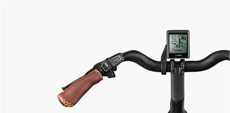 Riese and Muller Swing4 Vario 500Wh 46cm 2025 Electric Bike in Salvia Matt-1