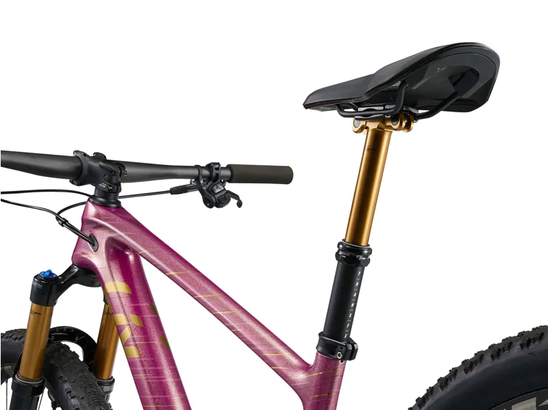 Liv Pique Advanced 29 0 Mountain Bike in Mulberry Glitter-1
