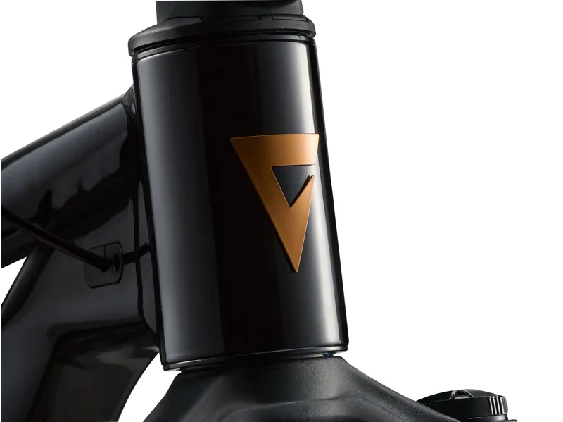 Giant Stance Mountain Bike in Black-4