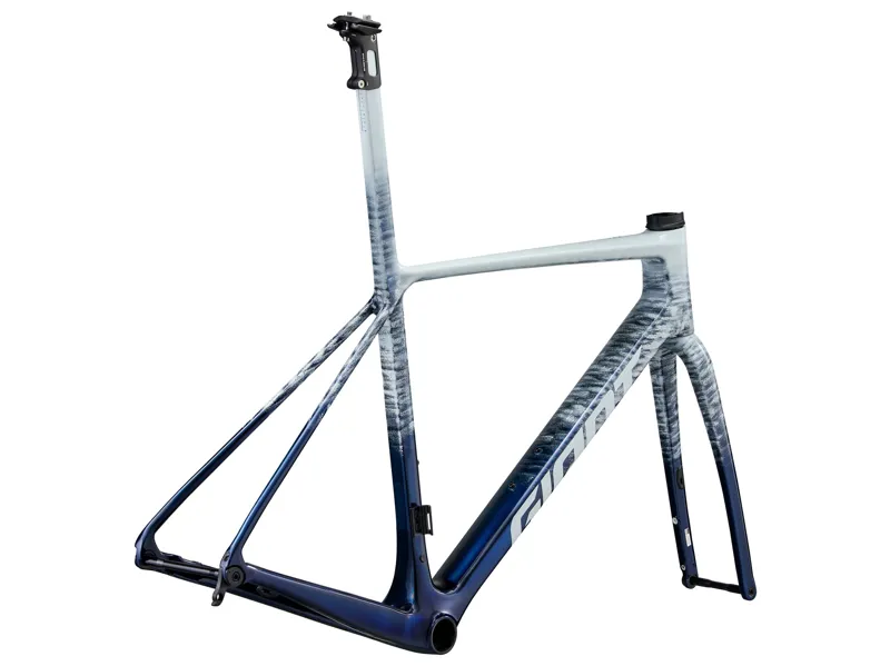 Giant TCR Advanced SL Frameset in Polar Tide-2
