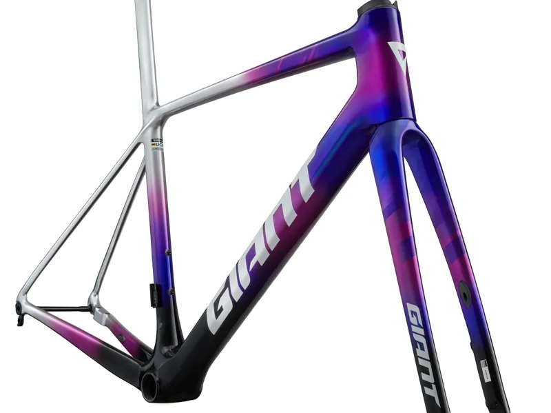 Giant TCR Advanced SL Frameset in Purple Storm-3