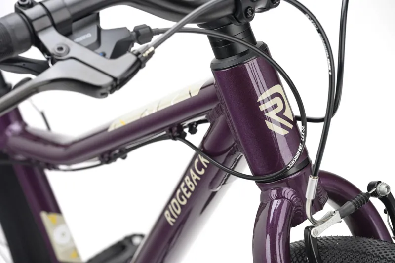 Ridgeback Dimension 24 Kids Bike Vanquish Violet-2