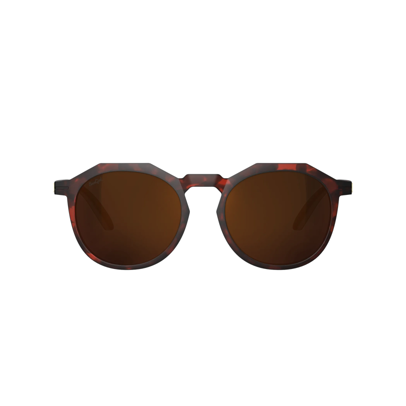 Zephyrs Matte Tortoise/Brown-2