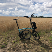 Untitled design copy.png