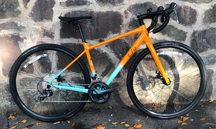 Untitled design-2.png