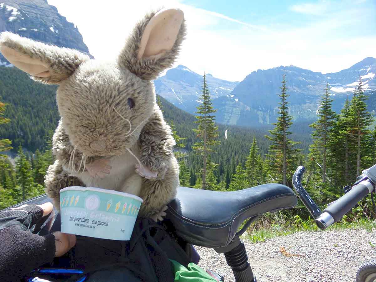 stuart-cycle-tour-rabbit.jpg