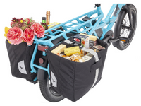 Untitled design-2.png